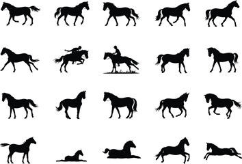 Fototapeta premium Large collection of black horse silhouettes featuring jumping trotting galloping standing and riding poses isolated on white background
