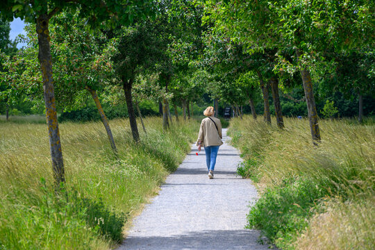 Person Walking in Park captured interacting naturally in an outdoor setting, in a natural environment, under daylight, with a natural mood, suitable for wildlife, conservation.