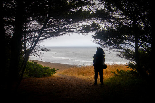 View of a backpacker standing in silhouette under a canopy of trees looking out at the misty shoreline of the Lost Coast Humboldt County, California, United States.