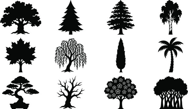 Tree Silhouette Collection Featuring Oak Pine Palm Willow Cypress Bonsai and Forest Nature Vector Set