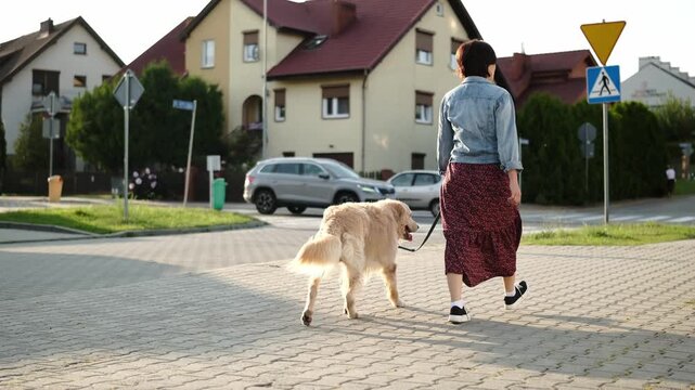 Woman Walks With A Golden Retriever Dog On A Street In Slow Motion