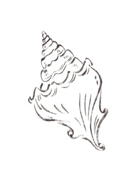 Hand drawn seashell line art isolated on white background. Minimal monochrome shell illustration with coastal, marine and beach theme for design, decor, tattoo, logo or printable use.