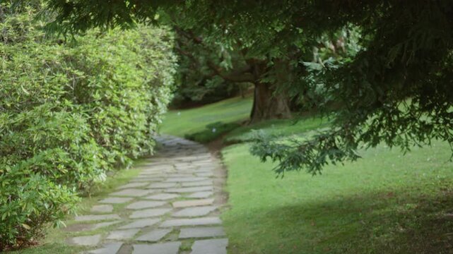 Flagstone path winding through a leafy garden with soft defocused foliage and shallow blurred bokeh depth; background calm.