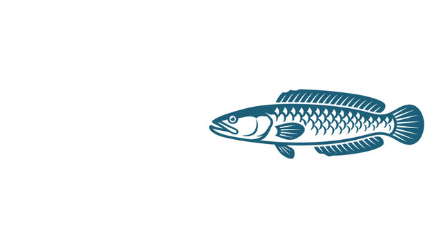A detailed blue line art illustration of a predatory snakehead fish swimming.
