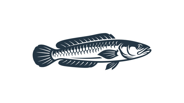 A detailed black and white illustration of a snakehead fish in a vintage engraving style.