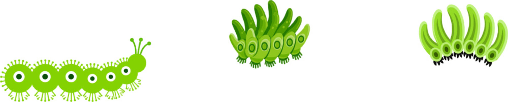 A flat vector illustration of a green caterpillar features soft prolegs with detailed crochets, set against a clean white background