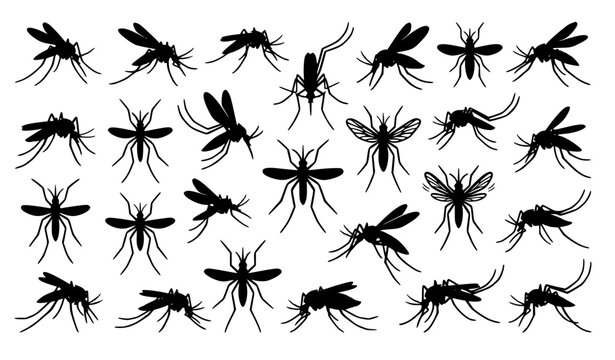 Flying Mosquito Silhouette Set with Pest Control Insect Icons Vector Illustration Collection Isolated