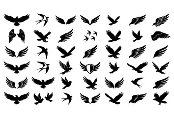 Fototapeta premium Black Eagle Swallow Dove Hawk Wing and Heraldic Shield Bird Silhouette Set with Flying Spread Pose Style Variations Vector