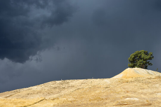 Dark stormy sky and rain over a single gum tree on top of a mullock heap