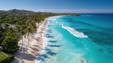 Fototapeta premium Overhead coastal paradise: palm trees, sandy shore, and rolling waves