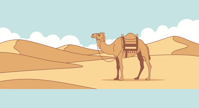 Dromedary camel with saddle standing in sandy desert