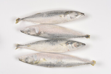 Obraz premium A top down studio shot of four raw frozen chub mackerel fish covered in frost arranged in a row on a solid white surface