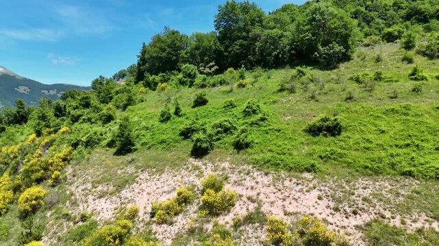 Pendio naturale con terreno roccioso e vegetazione sparsa che sale verso un&rsquo;area pi&ugrave; densa di arbusti e alberi, con una montagna sullo sfondo sotto un cielo limpido