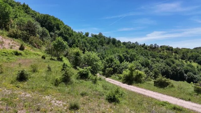 Sentiero sterrato immerso nel verde che conduce verso montagne ricoperte di vegetazione, sotto un cielo limpido