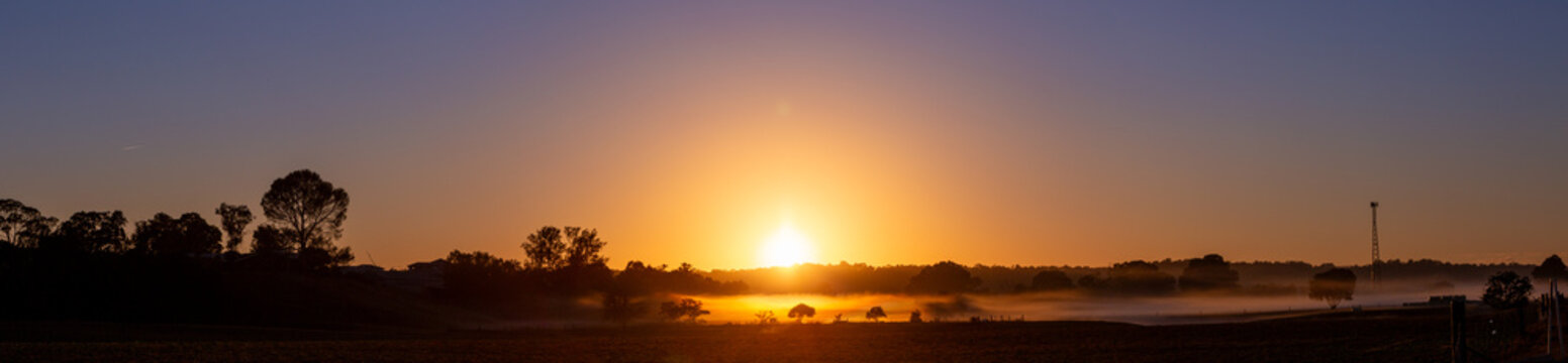 Australian sunrise scene as first rays of light peek over treetops onto misty farmland
