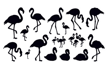 Obraz premium Flamingo Bird Silhouette Animal Set