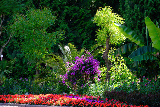 Sommerstimmung mit Licht und Schatten im Park