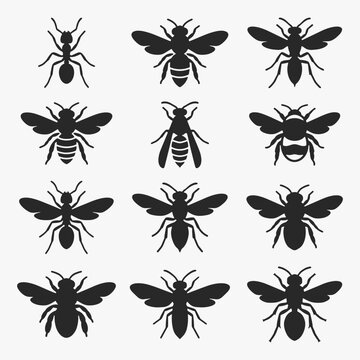 Set of Diptera on white background. Vector Sign for Logos, Labels, and Icons.