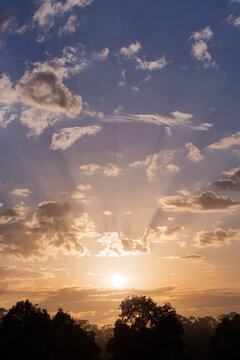 soft rays of sunshine at dawn as sun rises behind gum trees at sunrise