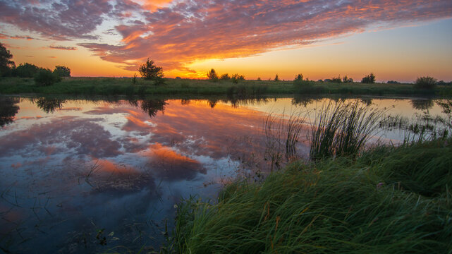 A serene sunset glows over a calm river, reflecting vibrant orange clouds. Lush green grass and reeds frame the peaceful landscape