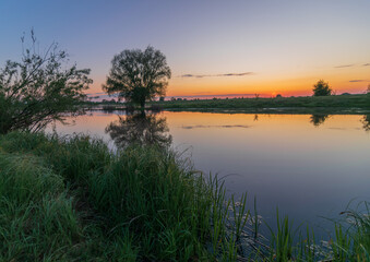 Naklejka premium a serene sunset over a calm river, featuring a lonely tree reflected perfectly in the still water.