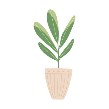Cute plant in a pot, hand drawn. Cute skincare wellness element. Hand drawn vector in simple style