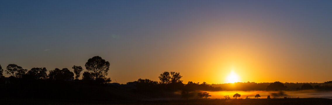 Australian sunrise scene as first rays of light peek over treetops onto misty farmland