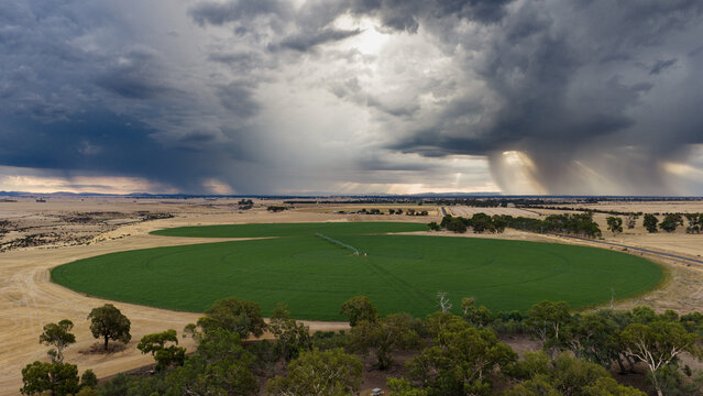 Aerial view of rain falling from dramatic storm clouds over green circular crops in dry farmland