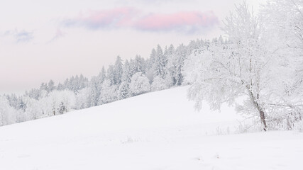 Fototapeta premium Winter landscape in the mountains, snow-covered trees on a hill with a colorful sky, evening view.