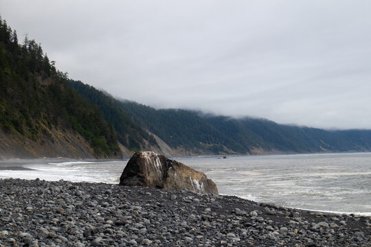 View of the rugged Lost Coast shoreline featuring a large boulder on a pebble beach with misty forested hills and the Pacific Ocean in Humboldt County, California, United States.