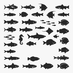 Fototapeta premium Set of Fish on white background. Vector Sign for Logos, Labels, and Icons.