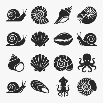 Set of Mollusca on white background. Vector Sign for Logos, Labels, and Icons.