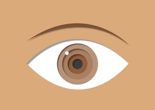 Hazel eye, illustration