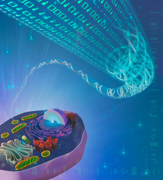 Conceptual artwork of bioinformatics