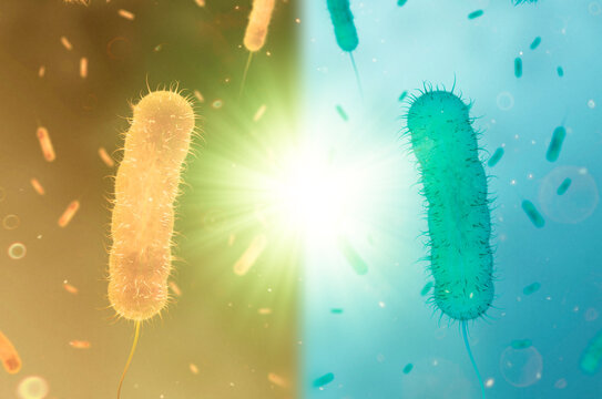 Artwork of Mirror Microbes