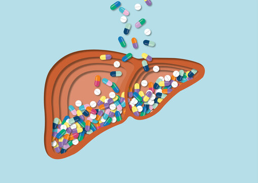 Hepatotoxicity, conceptual illustration