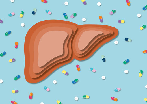 Hepatotoxicity, conceptual illustration