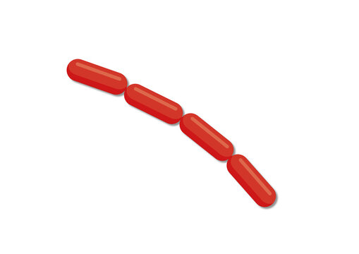 Streptobacilli bacteria, illustration