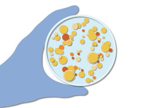 Bacteria in a petri dish, illustration