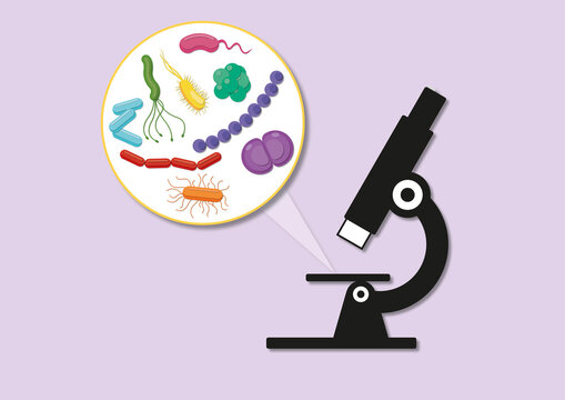 Bacteria under a microscope, illustration