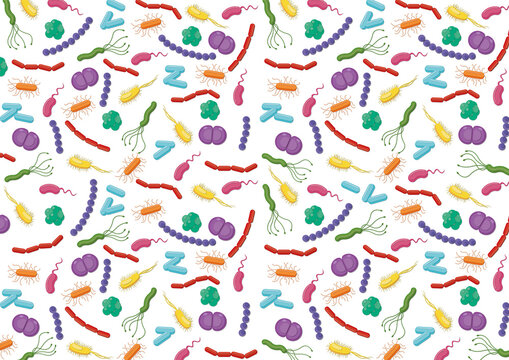 Bacteria, illustration