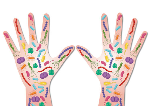 Hand bacteria, conceptual illustration