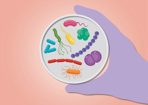 Bacteria in a petri dish, illustration
