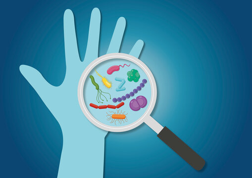 Hand bacteria, conceptual illustration