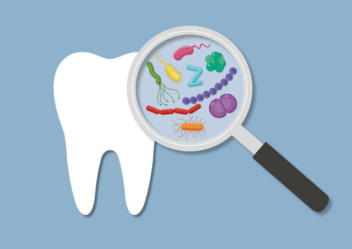 Oral bacteria, conceptual illustration