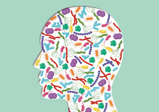 Human microbiota, conceptual illustration
