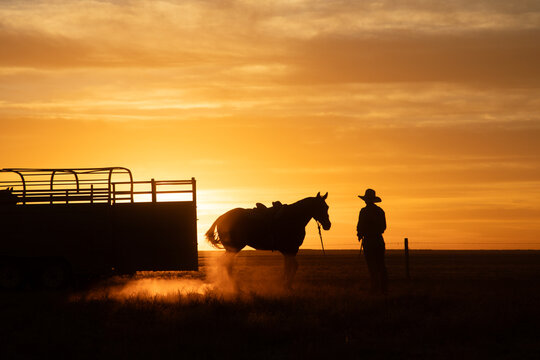 Woman unloading her stockhorse at sunrise