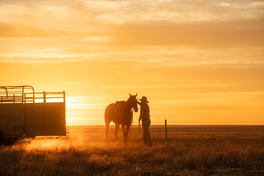 Stock woman patting her horse's head at sunrise