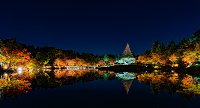Autumn Night Illumination Reflected in Pond at Showa Kinen Park Japan