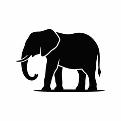 Fototapeta premium Silhouette of a majestic elephant standing on a white background with black outlines